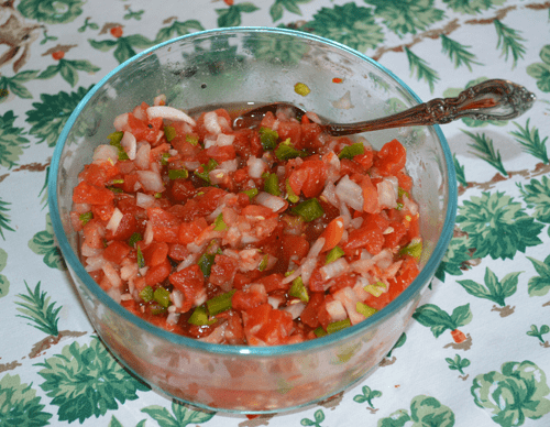 grannie geek ben's fresh & hot salsa