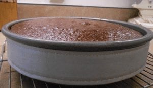 Cooking Tip – Wilton Bake-Even Cake Strips