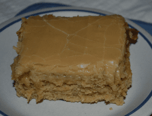 Best Ever Peanut Butter Sheet Cake